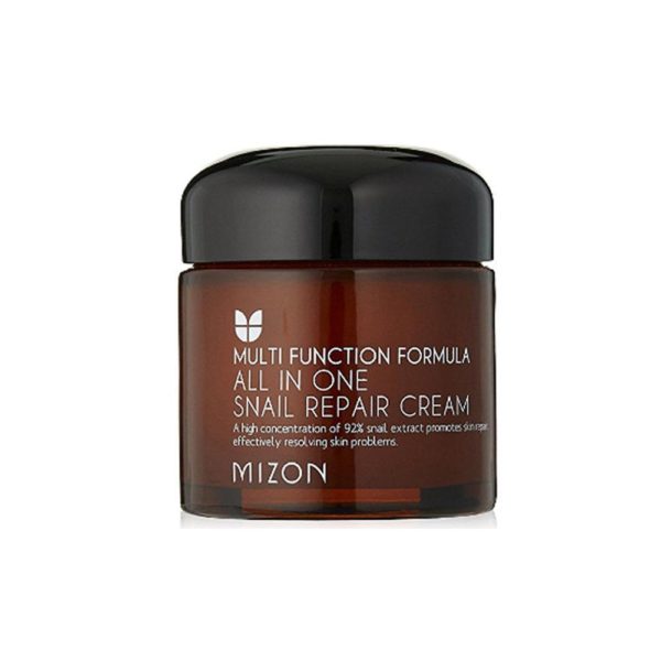 MIZON ALL-IN-ONE SNAIL REPAIR CREAM 75g